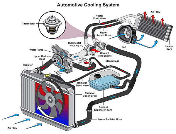 Simple Tips to Keep Your Engine Cool This Summer | Inmon Automotive